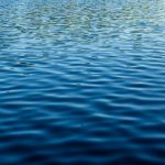 网喵下架了:背后的原因与影响分析 17a7ezx3