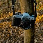 畅享星空影院:电视免费观看的最佳选择 gsu6yfg6