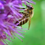 畅享日本动漫在线免费观看的最佳平台推荐 i2s430dx