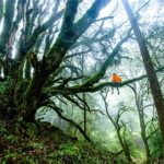 畅享无限乐趣:線上動漫免費看平台推荐 ipgn4n3y