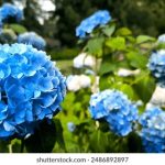 畅享月亮影视大全在线观看,尽览热门影视作品 psvgr66agd