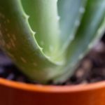 畅享无限乐趣:免费冒险任务游戏大揭秘 rqdacoir