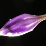 畅享日本动漫电影免费观看的最佳平台推荐 tryi8d7